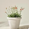 Outlet AMY Ulkoruukku, Halkaisija 60 Cm Ulkoruukut|Ruukut