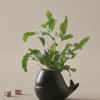 Cheap BALENA Miniruukku Ruukut|Lasten Sisustusesineet