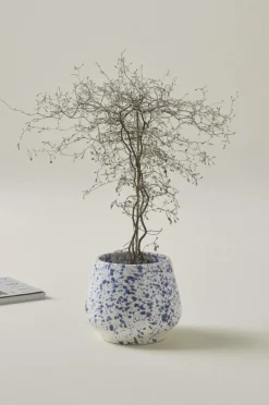 Cheap BELLADONNA Ruukku, ø 18 Cm Ruukut