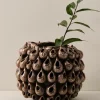 Cheap BLOWFISH Vaasi Korkeus 31 Cm Maljakot