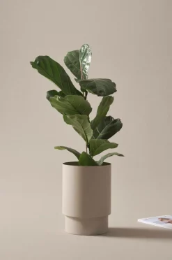 Store DESTINY Ruukku ø 25 Cm Ulkoruukut|Ruukut