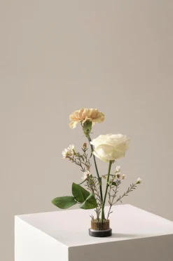 Clearance FIORE Kukkasiili ø 4,6 Cm Ruukut|Maljakot