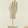 New Hand Koriste Koriste-Esineet