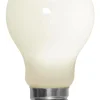 Store LED-lamppu A60 Smart Bulb Valonlähteet