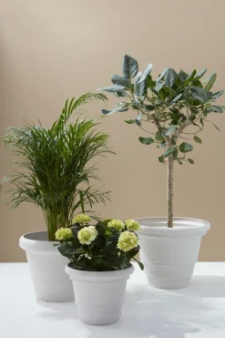 New POLLY Ulkoruukku, Halkaisija 38 Cm Ulkoruukut|Ruukut
