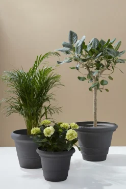 Discount POLLY Ulkoruukku, Halkaisija 38 Cm Ulkoruukut|Ruukut