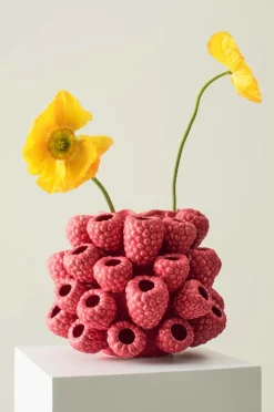 Outlet RASPBERRY Maljakko/astia Maljakot
