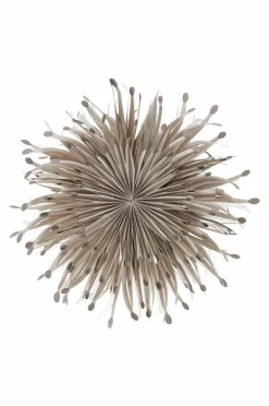 Shop SARGAS Valotähti, Halkaisija 60 Cm Jouluvalot