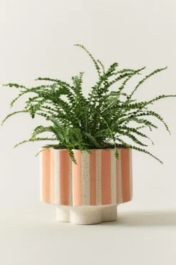 Cheap SIGFRID STRIPE Ruukku Ruukut