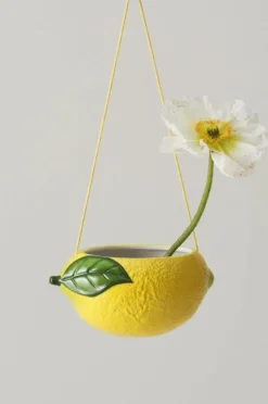 Fashion SOUR Amppeli Ruukut