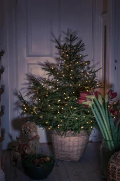 Shop TREE Valojohto Joulukuusi Jouluvalot